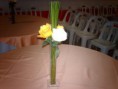 /album/galeria%20de%20fotos%3a%20bem%20vindo%20%c3%a0%20criarts%20vidros/solitario-3x3x30-jpg/